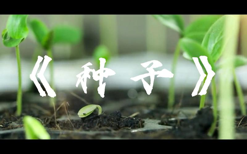 电影种子下载2026