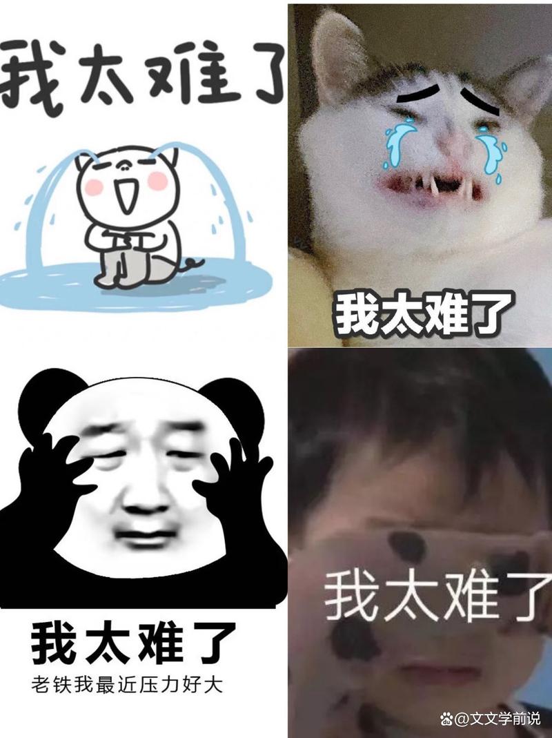 太难2026