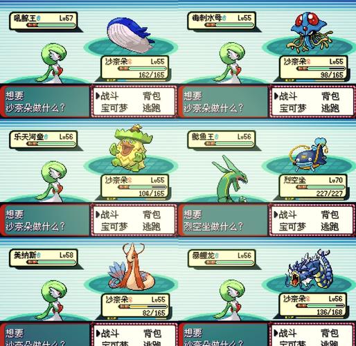 神奇宝贝游戏绿宝石截图