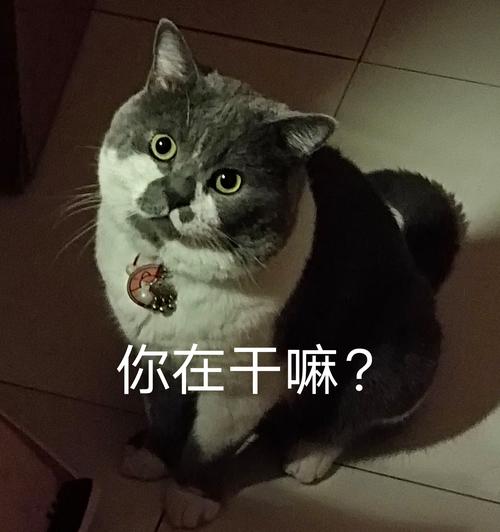 表情下载