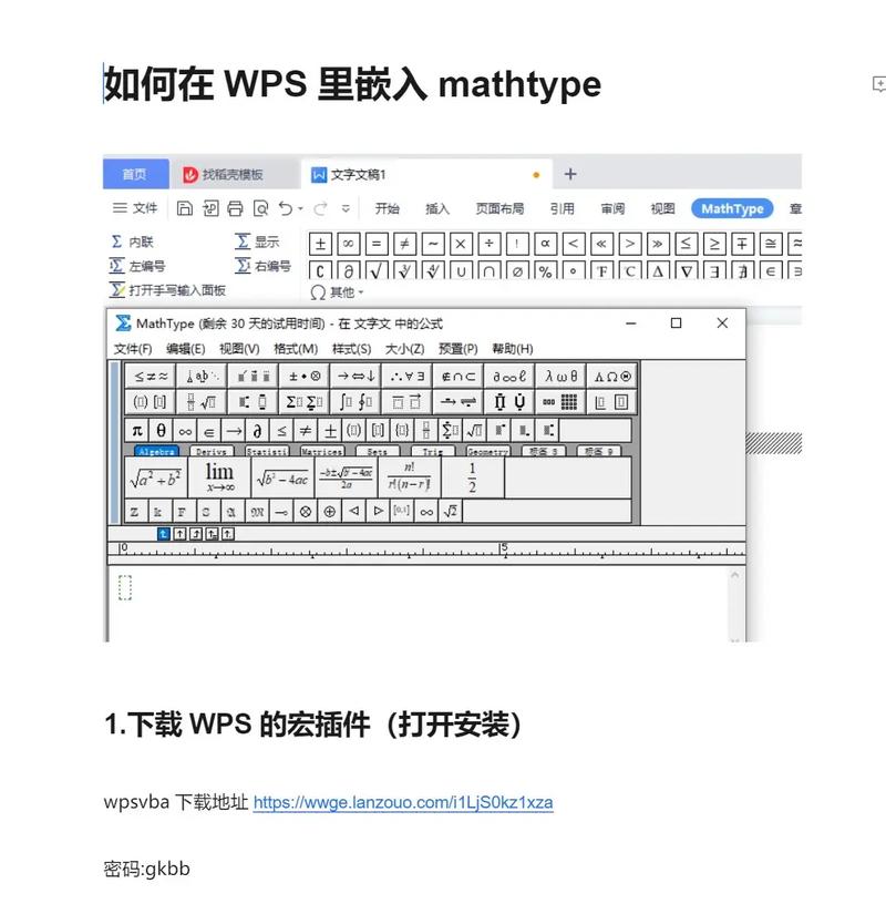 wps公式编辑器下载