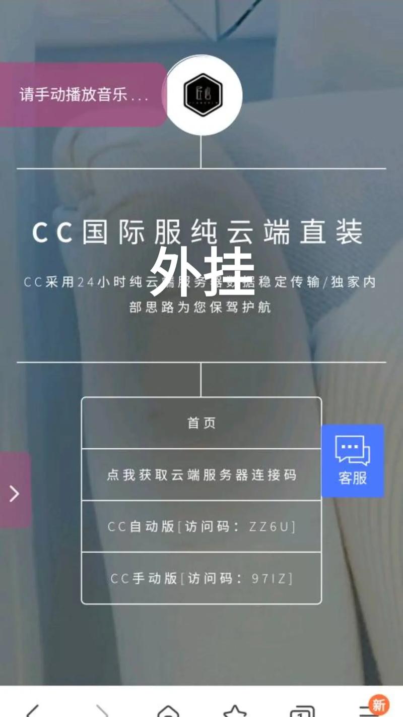 cc外挂
