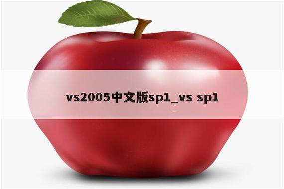 vs2005中文版