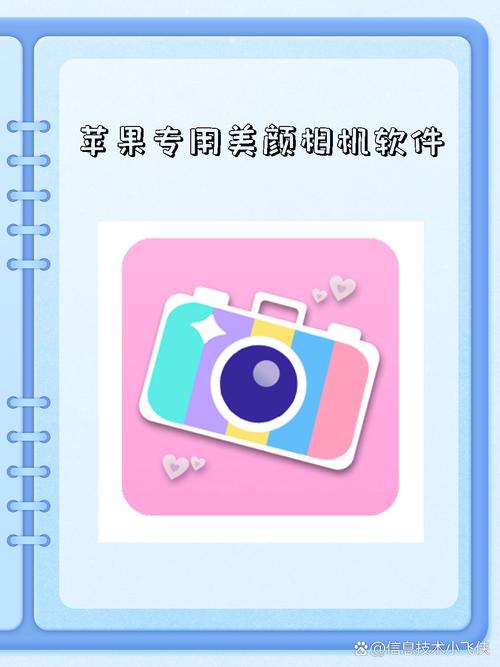 美颜相机ipad下载截图