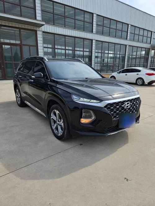 金翼赢家智胜版