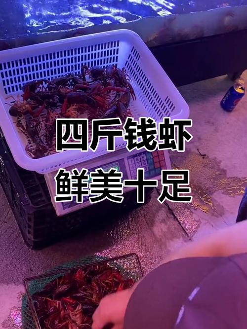 网上赚钱小虾