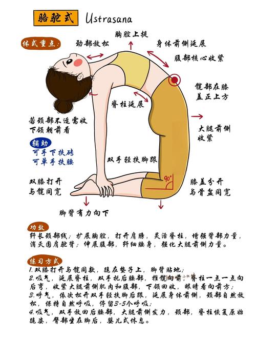 瑜伽视频教程迅雷下载截图
