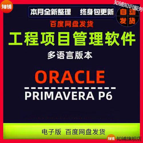 p3项目管理软件下载