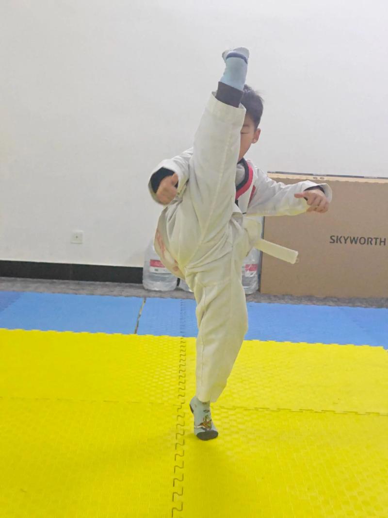 跆拳道教学视频下载