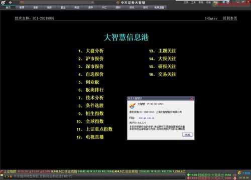 中天证券大智慧
