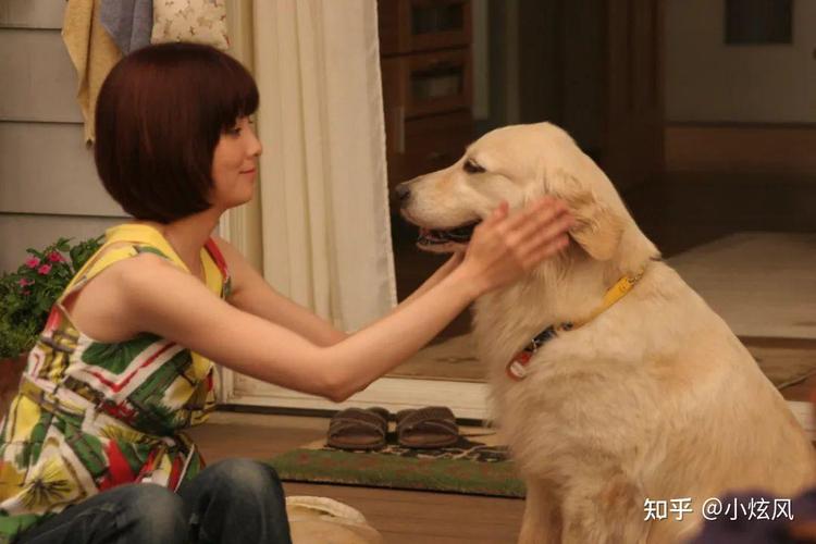 狗狗下载电视剧