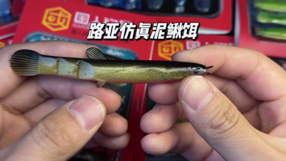 血鳞鲶鱼