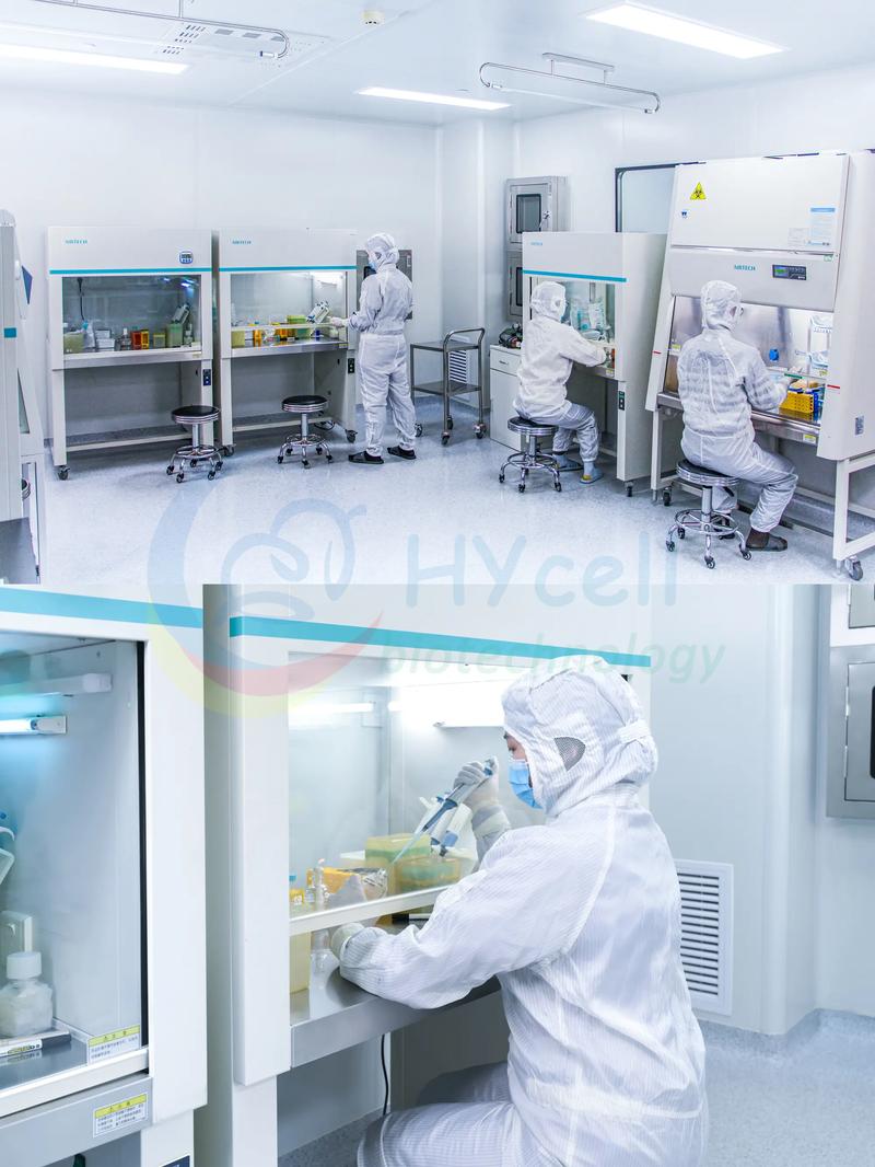 细胞实验室