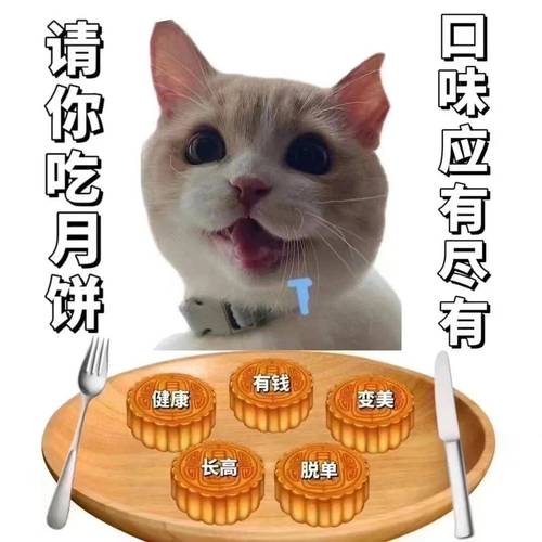 月饼qq表情