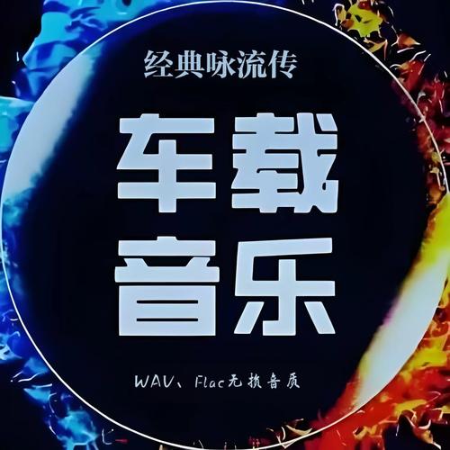 流行歌曲打包下载截图