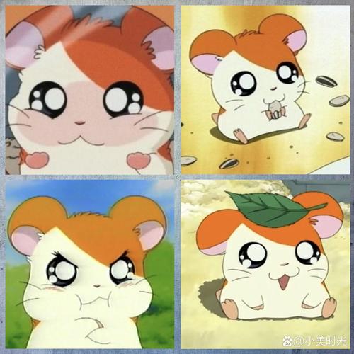 哈姆太郎表情包