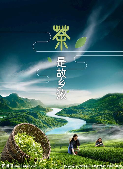 茶是故乡浓下载