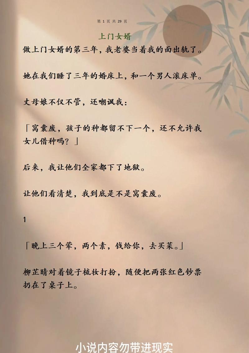 网络小说合集