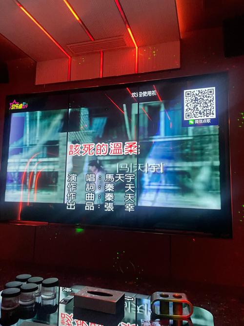 收费视频聊天室