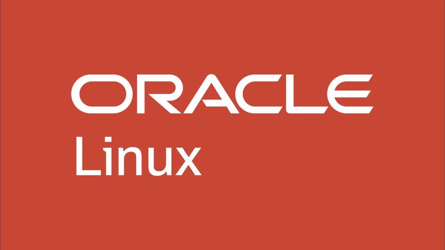 oracle视频下载截图