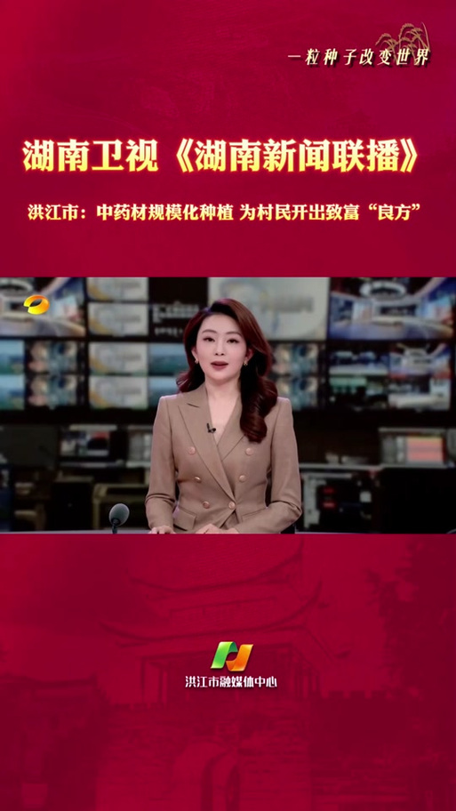 张家界电视台直播