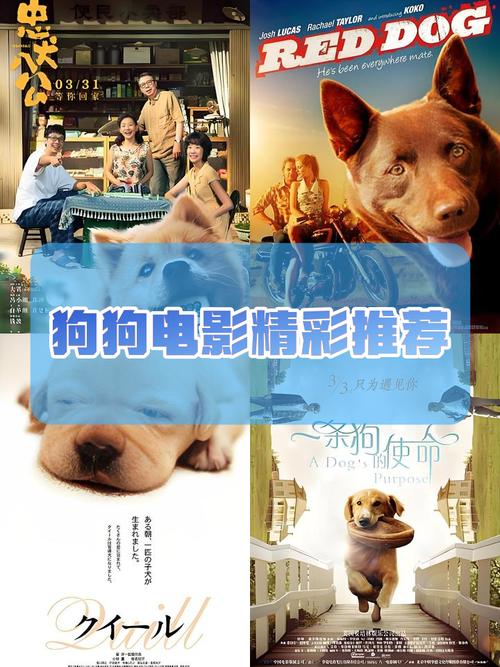 迅雷旗下狗狗影视搜索