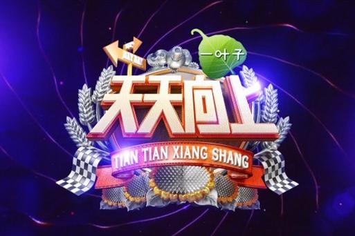 金鹰网天天向上直播