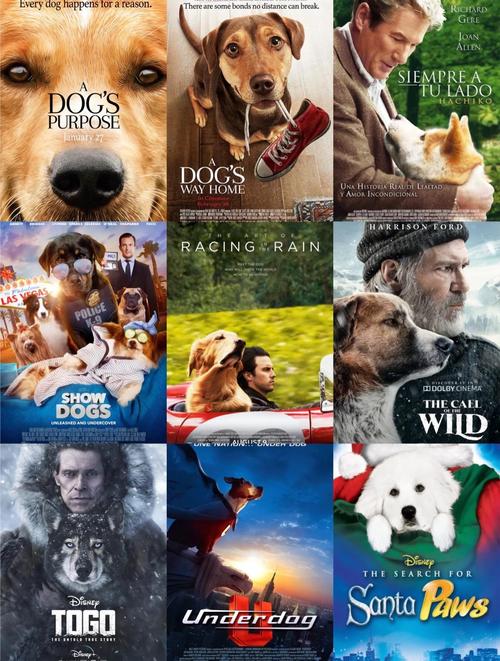 迅雷狗狗影视搜索截图