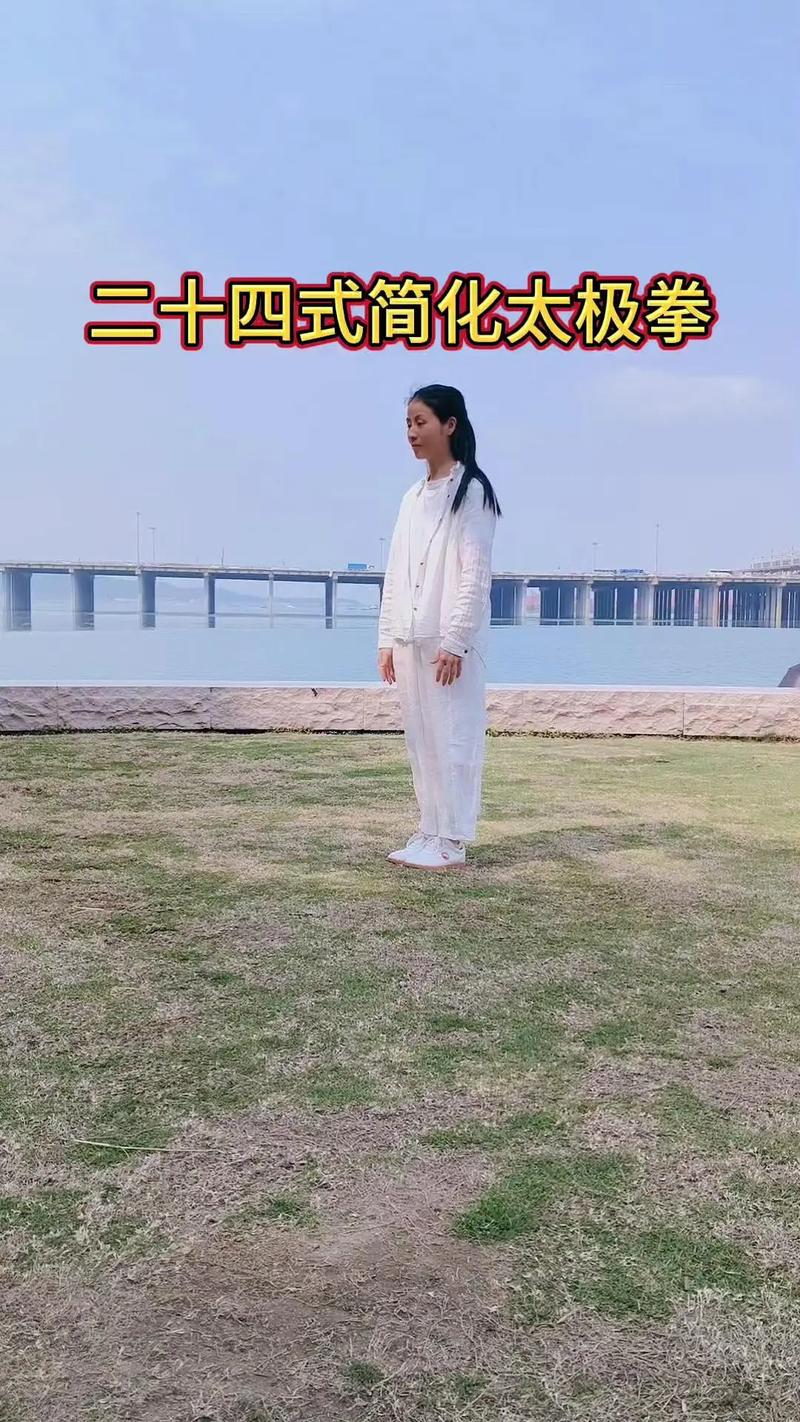 太极拳教学视频下载