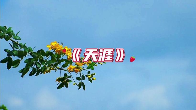 天涯视频网