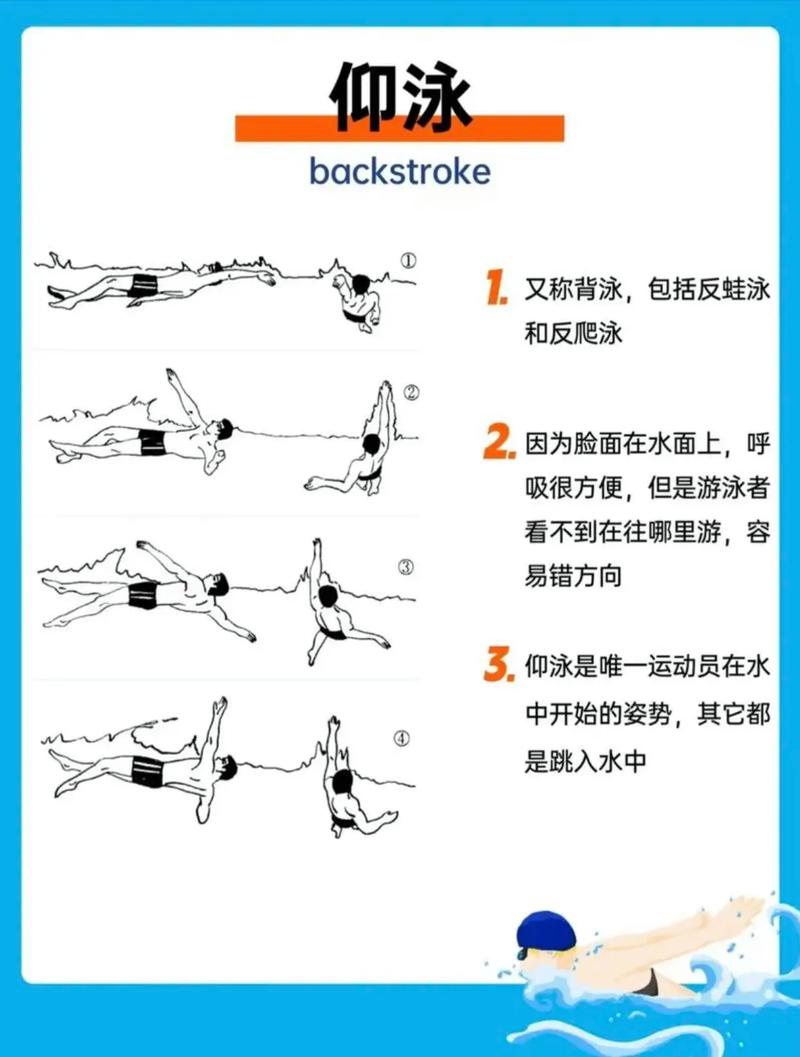 游泳教学视频下载