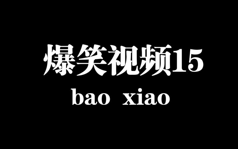 3gp搞笑视频下载截图