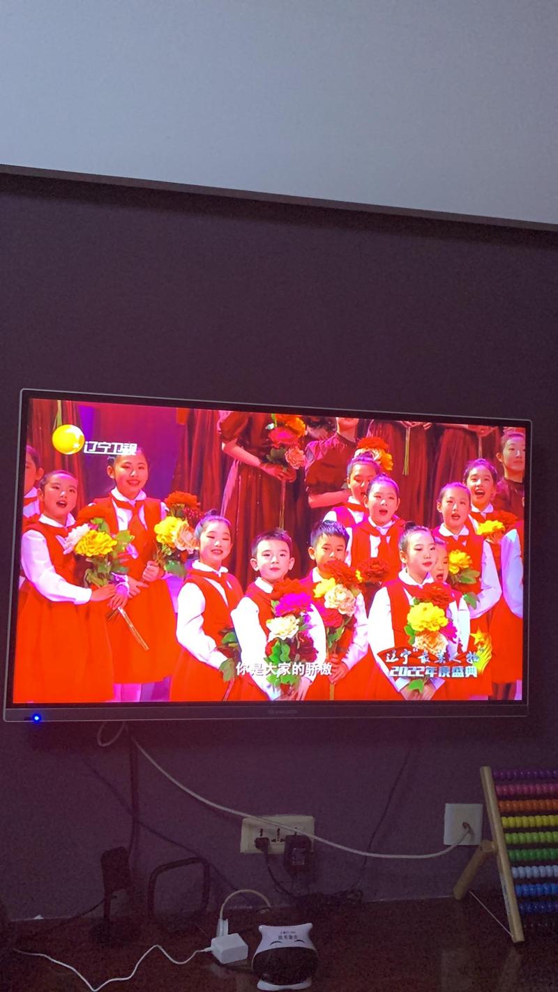 辽宁卫视网络直播