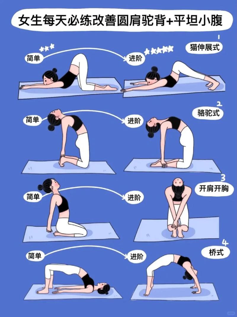 瑜伽视频教程初级下载截图