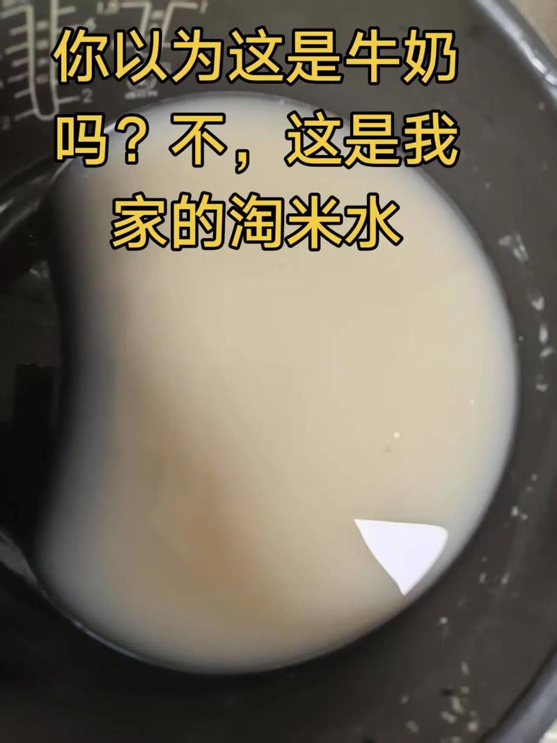 淘米视频看不了