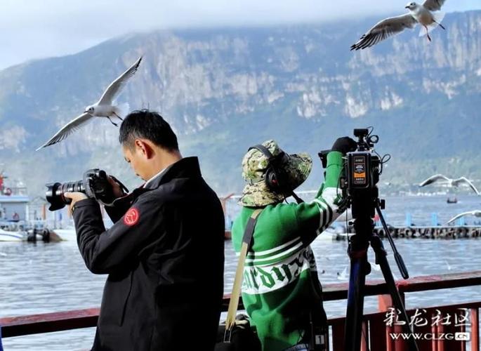 昆明电视台直播