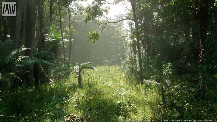 森林视频下载安装