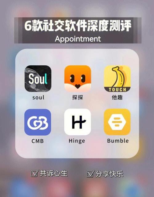 hicpgo软件截图