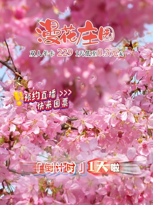 樱花雨直播平台app截图