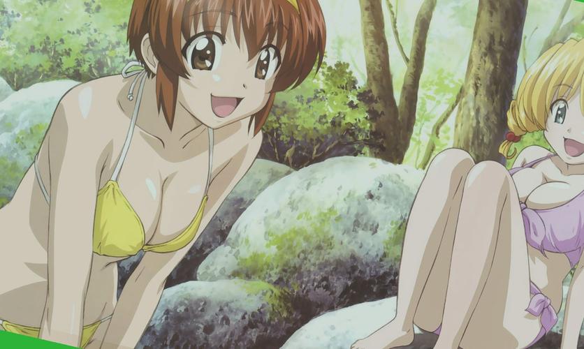 轻漫岛无广告版