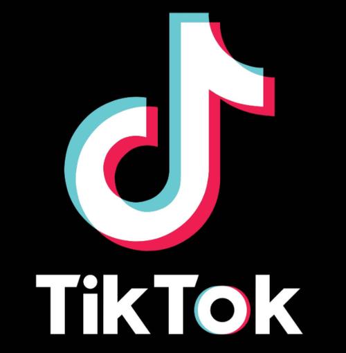 抖音国际版tiktok下载安卓官方版