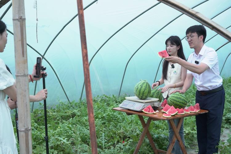 夏日短视频直播