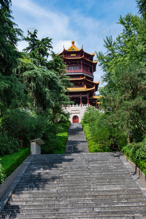 雨花阁搜索最新版安卓下载截图