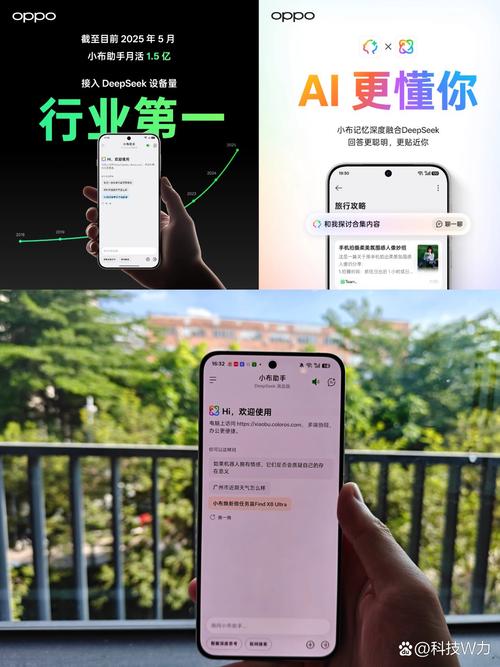 布拉迪app交友软件