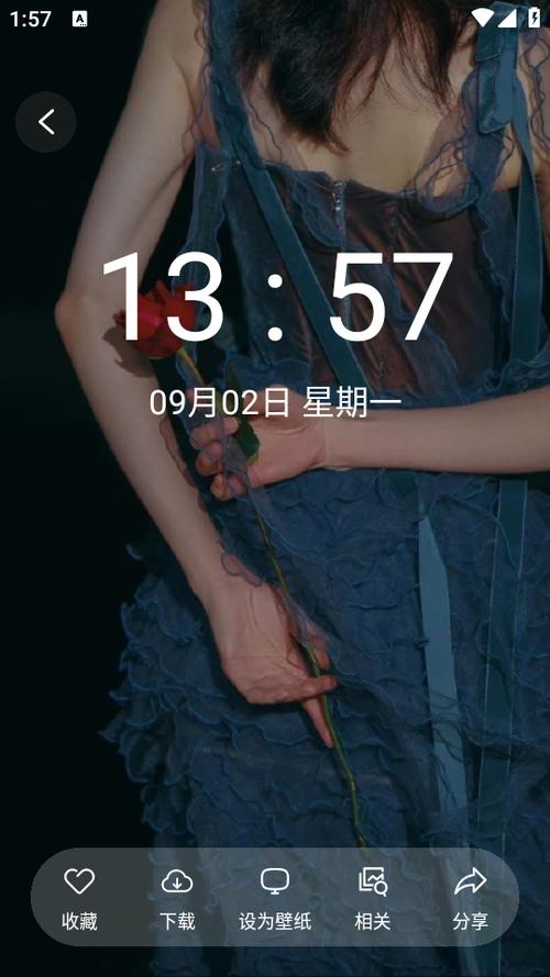 氧气壁纸制作软件下载2025最新版