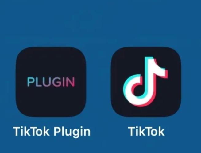 tiktok最新版全球版破解版下载截图