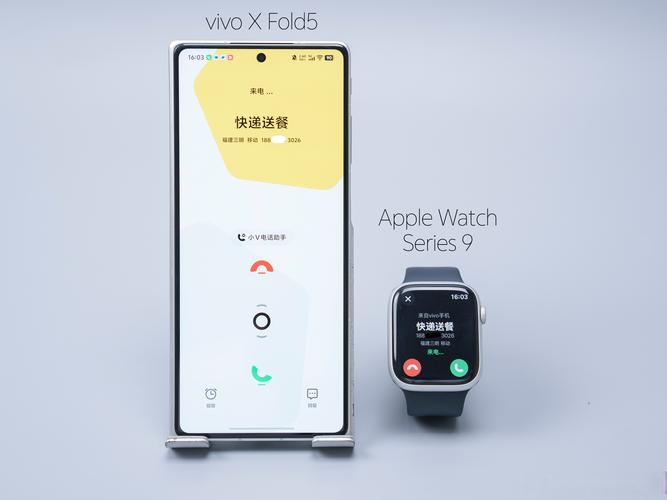 vivo智能手表app下载截图