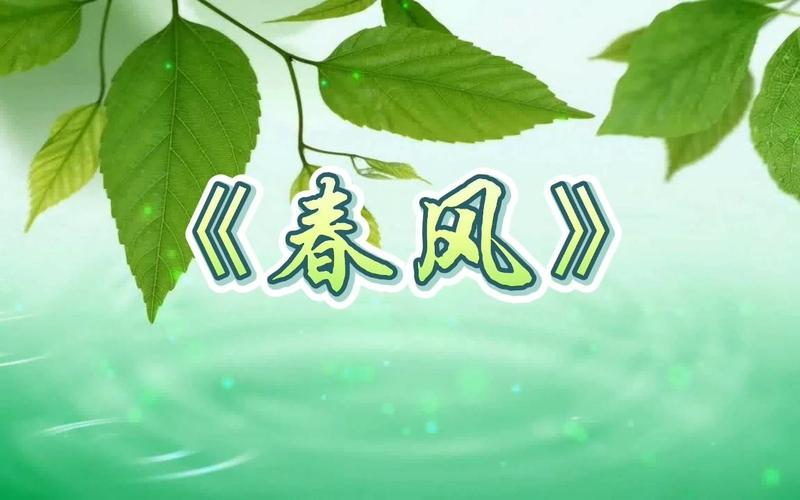 春风视频下载