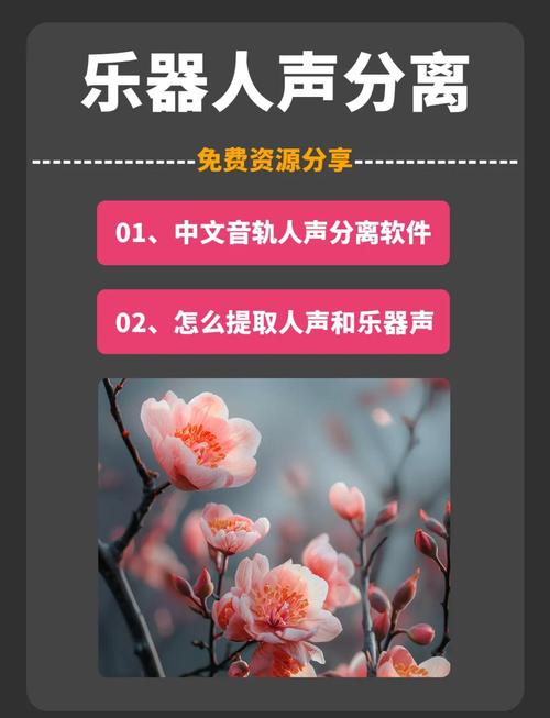 ai人声分离手机软件免费下载v1.0