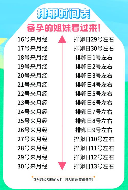 排卵期怀孕助手